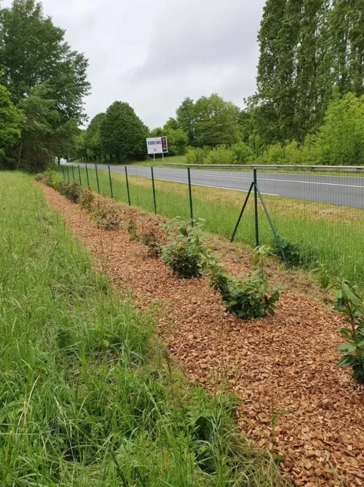 creation de jardin (6)