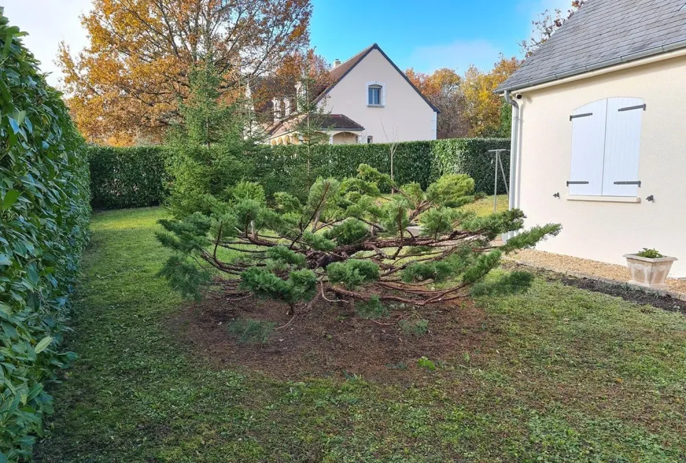 entretien jardin (5)