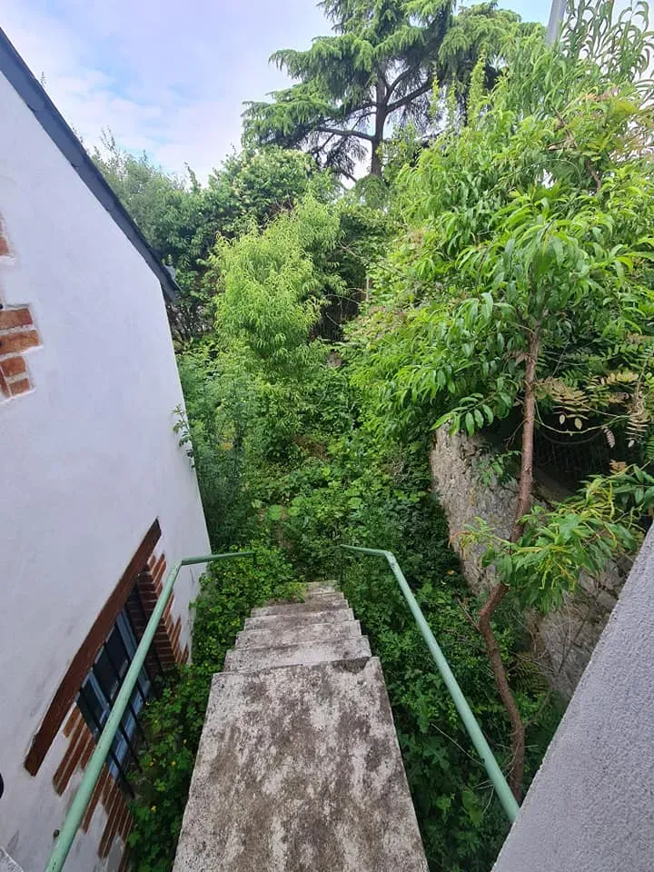 avant apres entretien jardin (1)