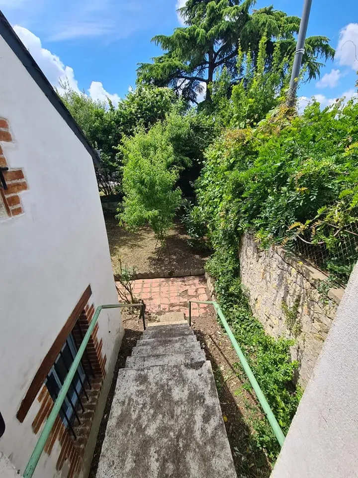 avant apres entretien jardin (2)