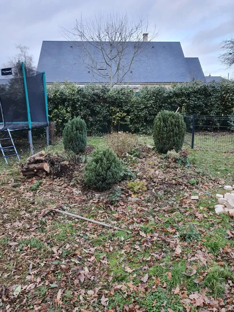 avant apres entretien jardin.jpg (7)
